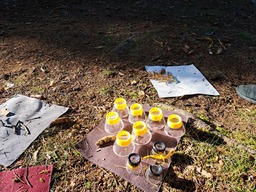 Luurit luonnontutkimista varten