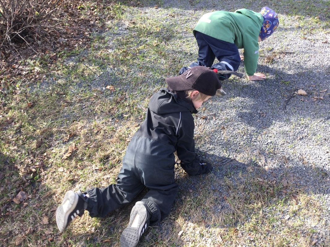 Lapset liikkuvat eläinten lailla