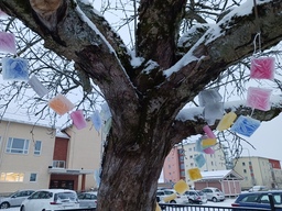 Puussa roikkuvat värijääkuutiot