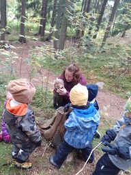 Lapset ihmettelemässä metsämörriä.
