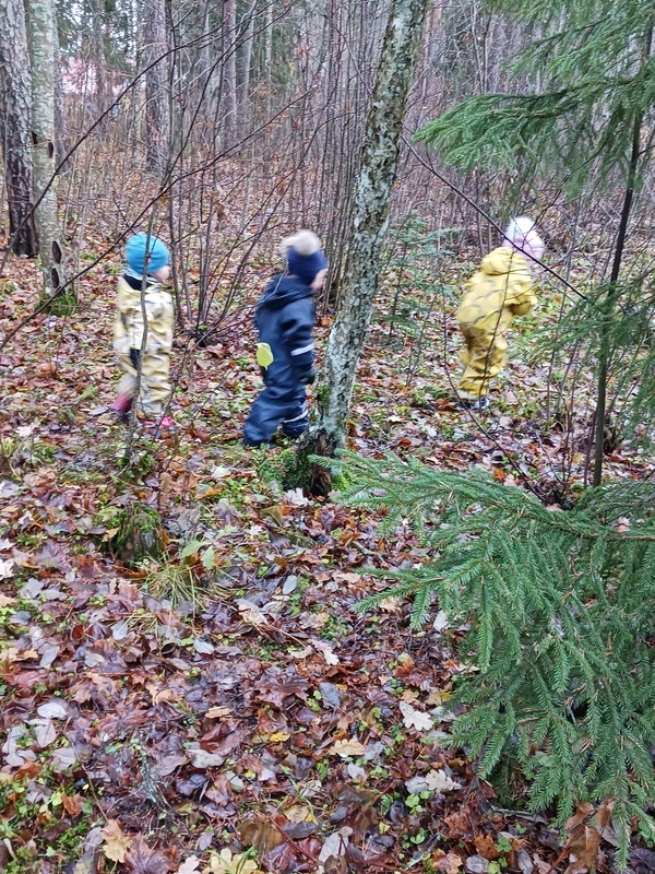 Metsäretkellä etsimme paikkaa johon on hyvä rakentaa majaa.