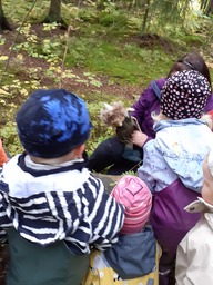 Lapset pääsivät läheltä katsomaan metsämörriä