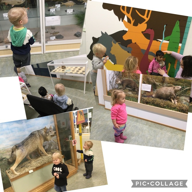 Lapsiryhmä eläinmuseossa.