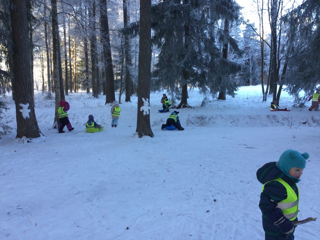EACE8020-2244-4E9C-B069-43D000E530A9.jpeg Lapset vetävät toisiaan pulkassa metsässä
