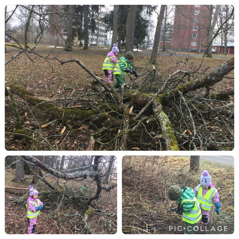 7599EB11-E305-44E6-9ED5-5450773E43D9.jpeg Monta kuvaa lapsista leikkaamassa oksia kaatuneesta puusta