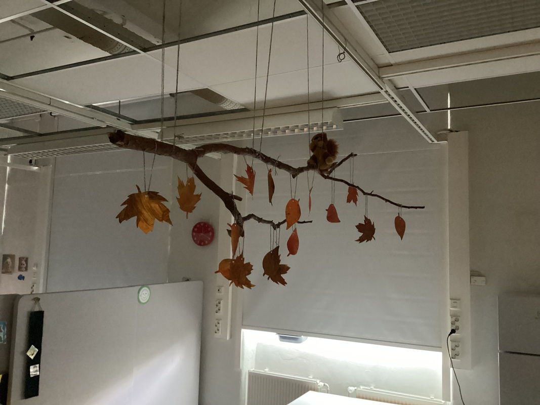 IMG_0155.jpeg