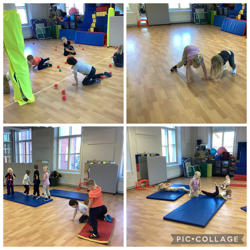 IMG_1540.jpeg