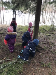 Lapset keräävät käpyjä metsässä.