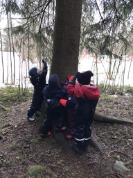 Metsässä lapset ihmettelevät korkeaa puuta samalla kurkottaen käsillään kohti latvaa.