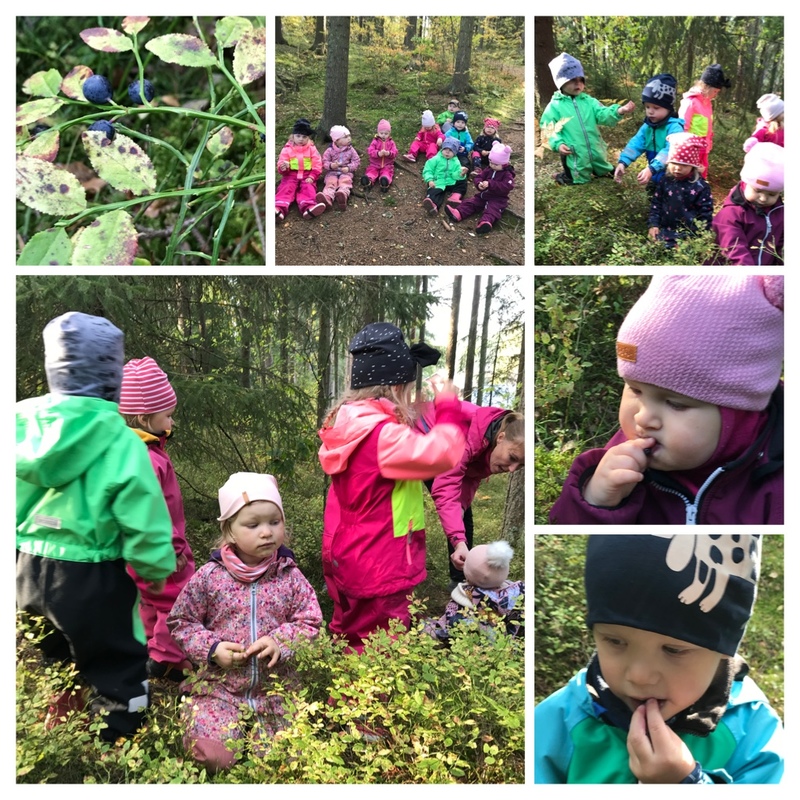 Metsässä lapset maistelevat mustikoita ja syövät myös retkieväitä.