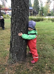 Lapsi halaa puuta.