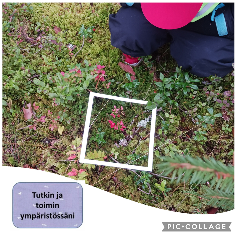 Lapsi kuvaamassa varpuja metsässä