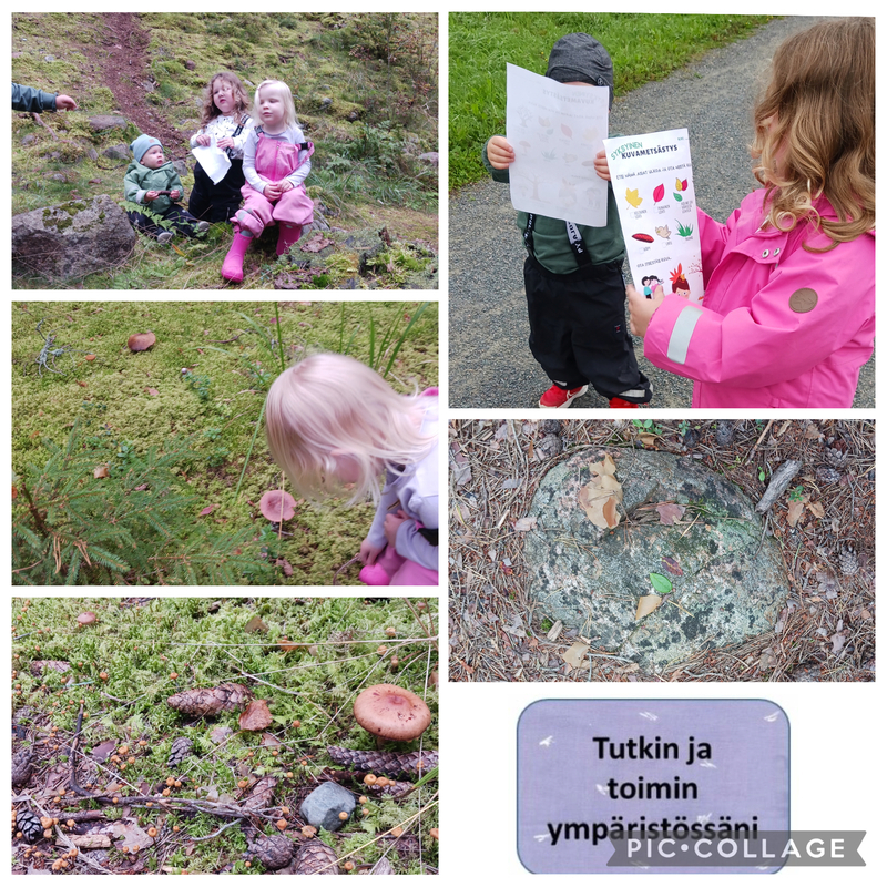 Lapset kuvametsästys retkellä metsässä