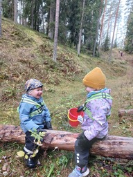 Lapset istuu kaatuneen puun rungon päällä