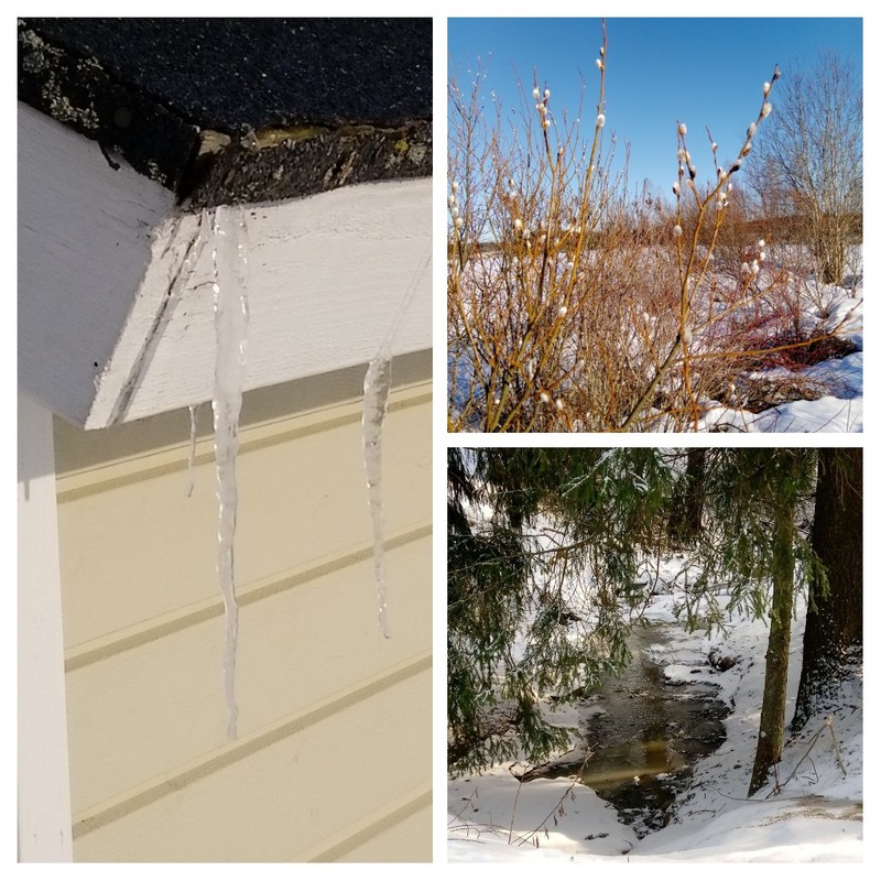 Jääpuikko leikkimökin räystäässä, kevätpuro ja pajunkissoja