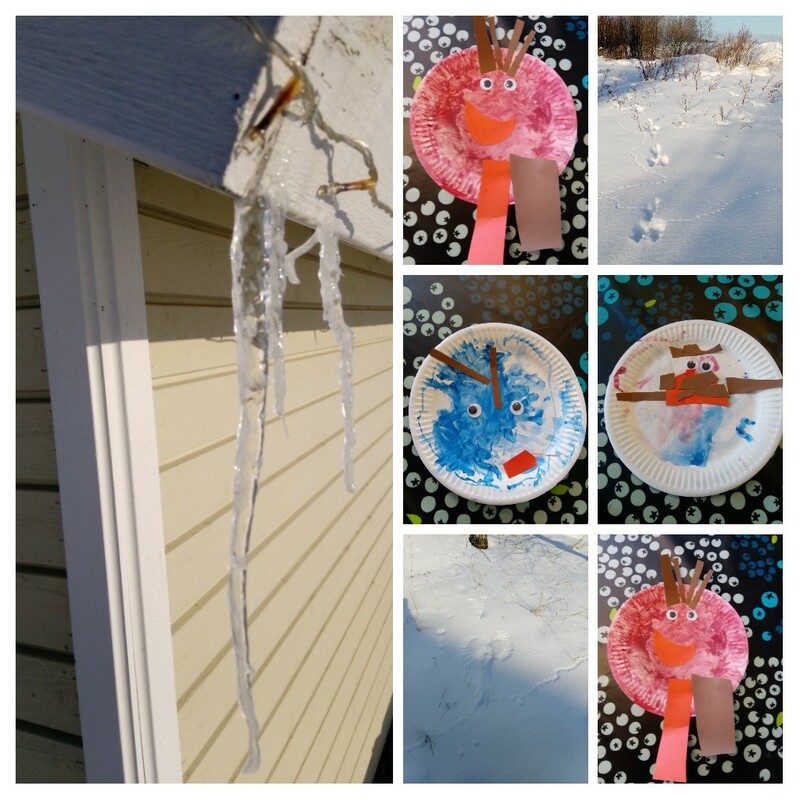 Askartelu; hammaspeikkoja. Eläinten jälkiä hangella. Jääpuikko leikkimökin räystäällä.