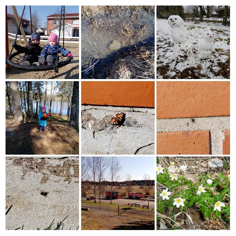 Valkovuokkoja, kärpänen, perhonen, hämähäkki, sammakonkutua, lapset keinumassa, lapsi metsäretkellä, lumiukko, paloautoja parkkipaikalla