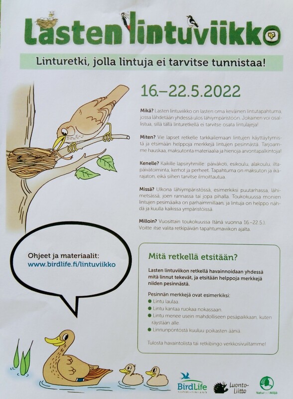 Sinivuokkoja