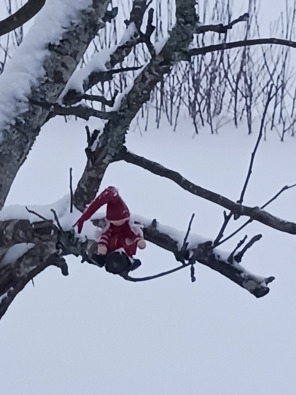 Tonttu omenapuun oksalla