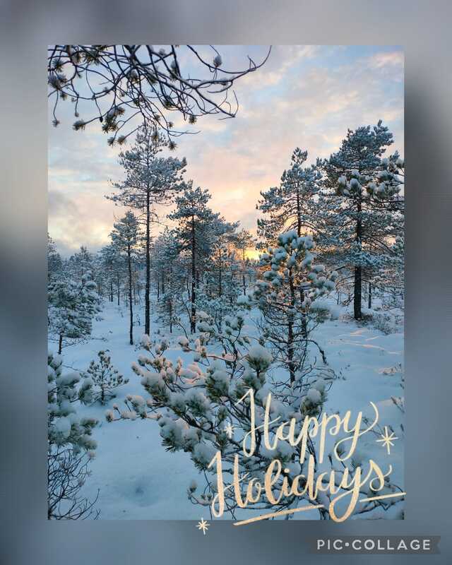 Metsämaisema happy holidays tekstillä