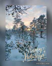 Metsämaisema happy holidays tekstillä