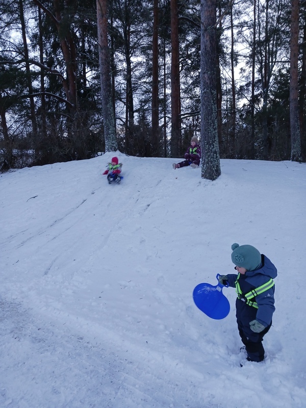 Lapset liukurimäessä