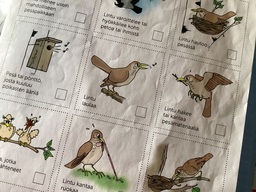 Lasten lintuviikon bongaus tehtävä