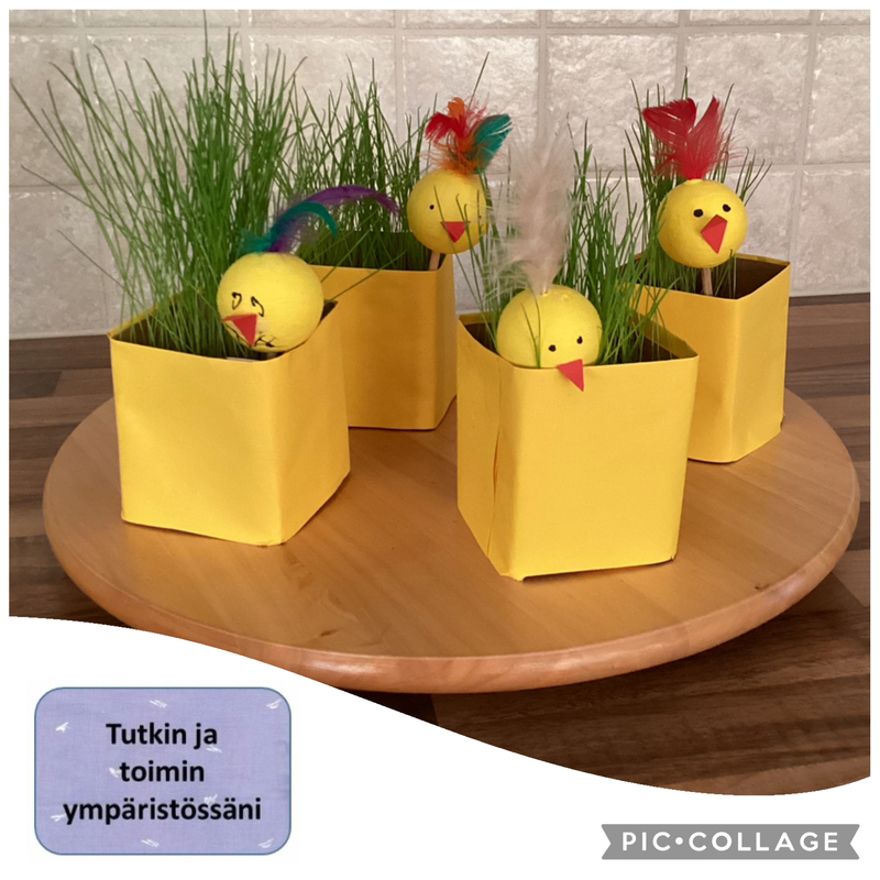 Huhtikuulla 2026 Rairuohoa purkeissa