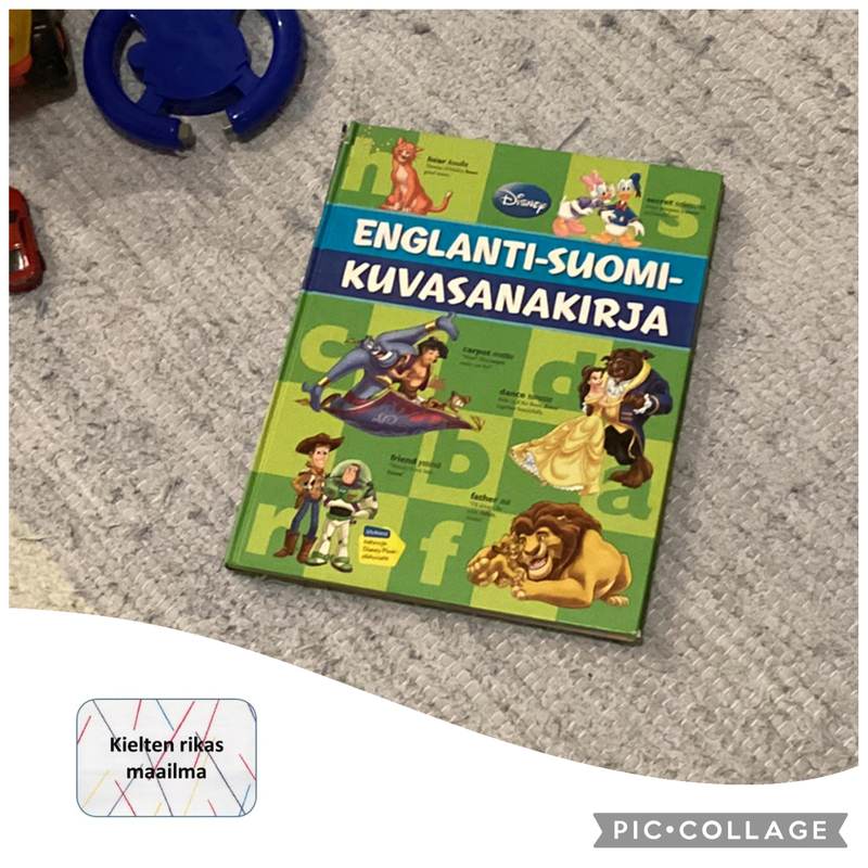 Marraskuulla 2025 Englanti-suomi kuvasanakirja