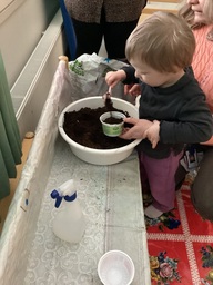 Lapsi istuttaa pääsiäisruohoa
