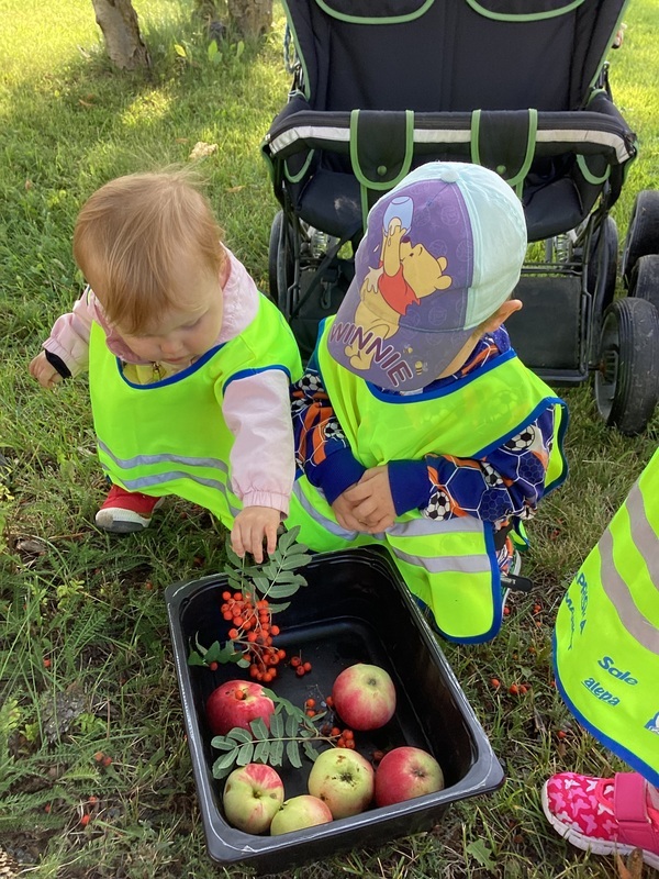 Lapset keräsivät pihlajanmarjoja ja omenoita askartelumateriaaliksi