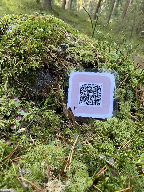 QR-koodi metsätehtävässä.