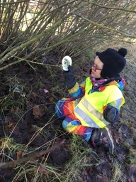 Lapsi on löytänyt eläimen kuvan.