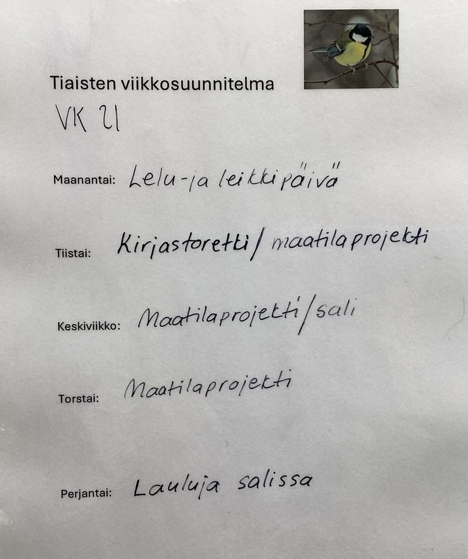 Tiaisten viikkosuunnitelma