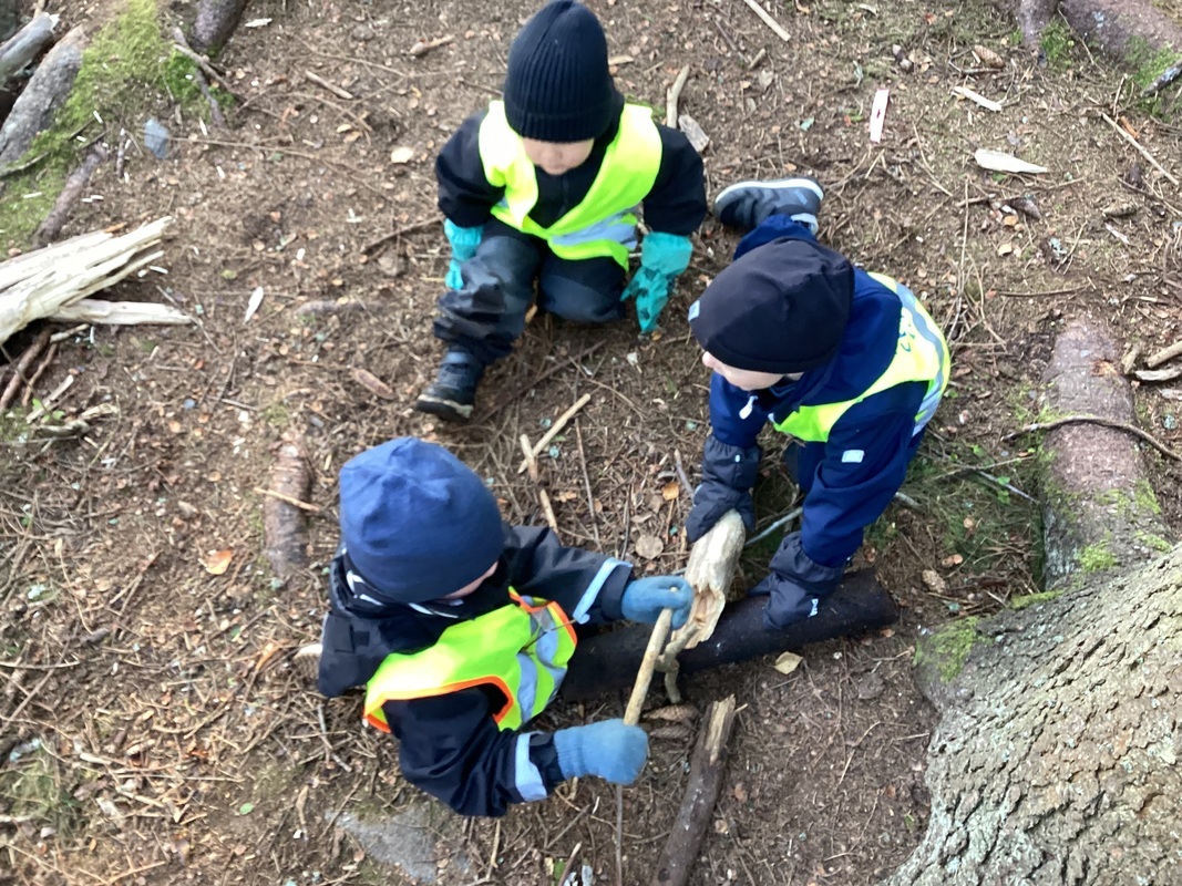 Lapset leikkivät puunoksilla.