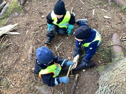 Lapset leikkivät puunoksilla.
