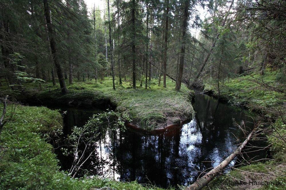 Joenmutka.jpg