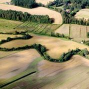 Meanderointi