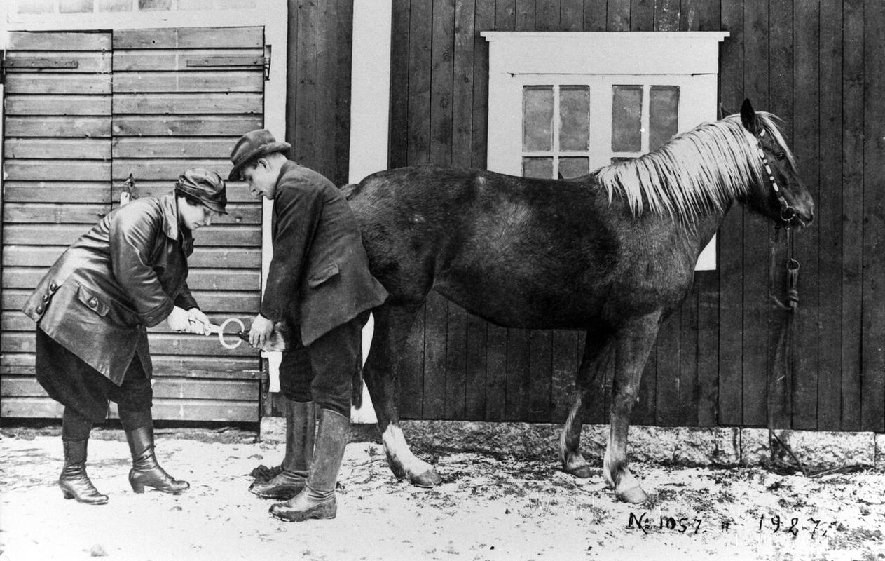 A.Sjöberg.jpg