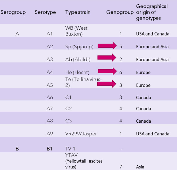 Screenshot 2022-10-25 at 09-33-22 PowerPoint-esitys - Eriksson-Kallio_IPN_KTP2022-1.pdf.png