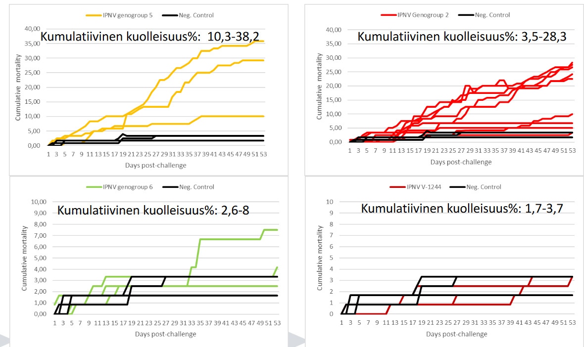Screenshot 2022-10-25 at 08-53-00 IPN-vastustuskyvyn lisääminen emokalaston hallinnalla - Mia-Eriksson-Kallio-IPN-vastustuskyvyn-lisääminen-1.pdf.png