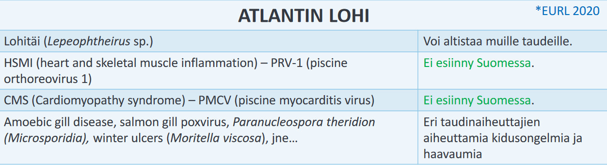 Screenshot 2022-10-27 at 09-51-10 PowerPoint-esitys - Riskit_kalatuonneissa_Holopainen-1.pdf.png