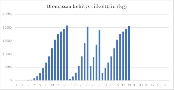 poikasras tuotanto 2.png