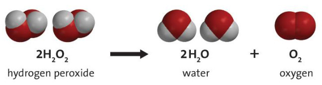 Screenshot 2022-09-27 at 11-49-27 PowerPoint Template - Samu-Pettersson-Otsonin-vaikutus-veden-laatuun.pdf.png