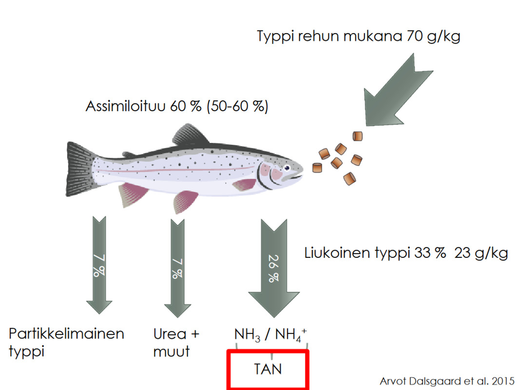 Screenshot 2022-09-27 at 10-10-00 PowerPoint-esitys - Jani-Pulkkinen-typpiyhdisteiden-hallinta-kiertovesikasvatuksessa-1.pdf.png