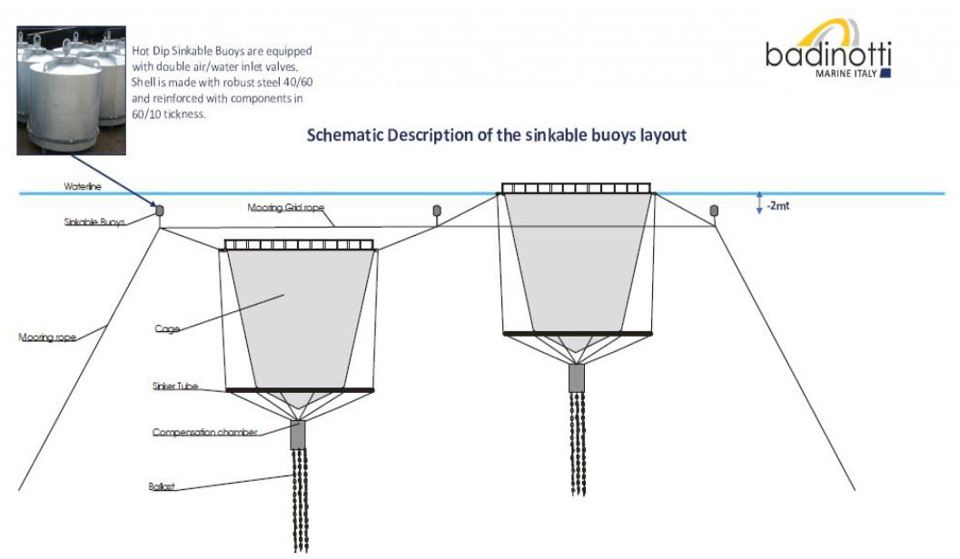 Screenshot 2022-09-19 at 12-11-25 PowerPoint-esitys - Markus-Kankainen-upotettava-verkkoallas.pdf.png