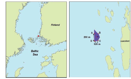 Screenshot 2022-09-19 at 12-25-25 PowerPoint-esitys - Markus-Kankainen-upotettava-verkkoallas.pdf.png