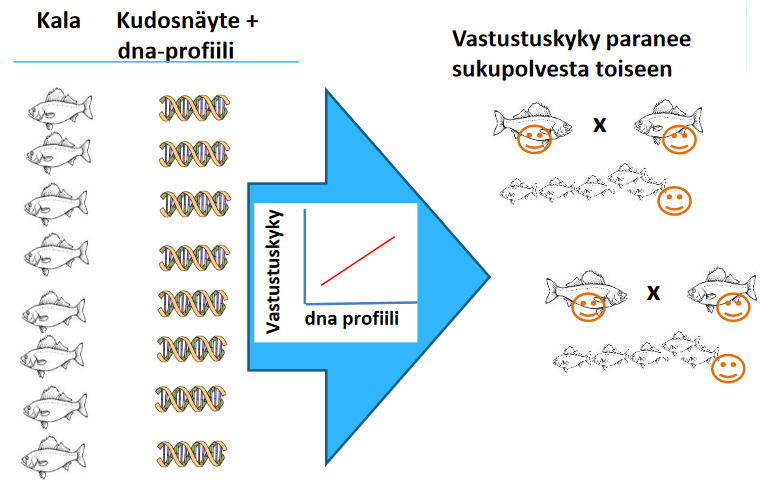 Screenshot 2022-10-24 at 10-57-17 PowerPoint Presentation - Antti-Kause.pdf.png
