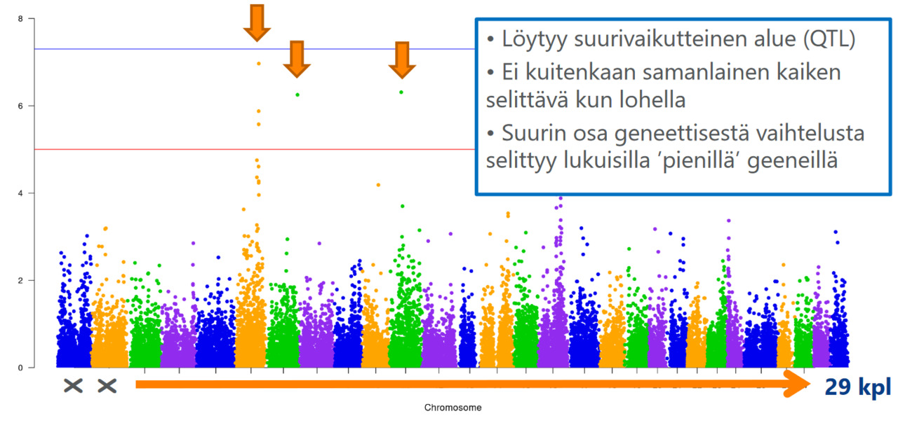 Screenshot 2022-10-24 at 11-08-45 PowerPoint Presentation - Antti-Kause.pdf.png
