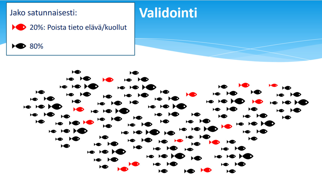 Screenshot 2022-10-24 at 11-10-43 PowerPoint Presentation - Antti-Kause.pdf.png